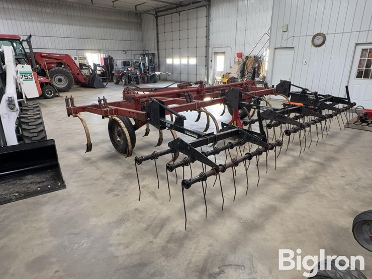 international-55-image-7