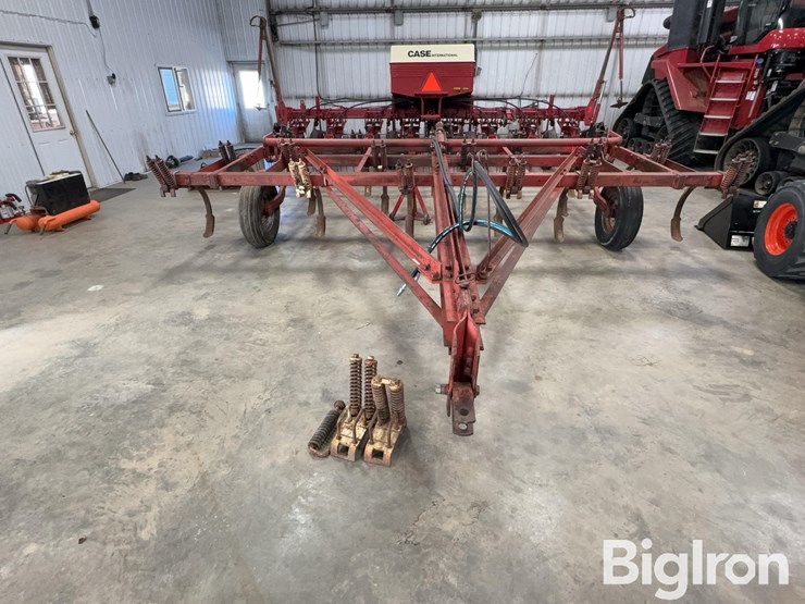 international-55-image-2