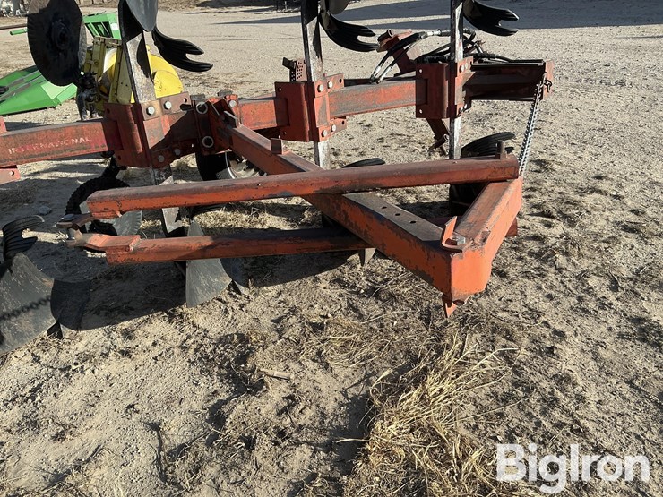 international-145-image-12