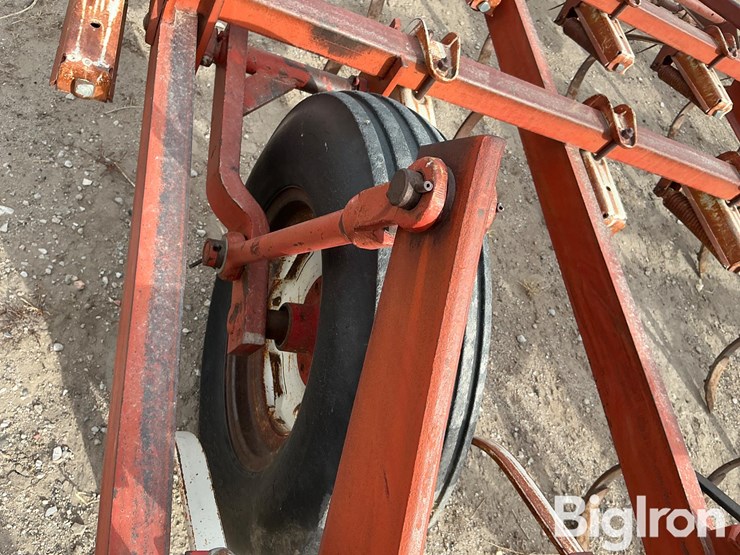 international-45-image-18