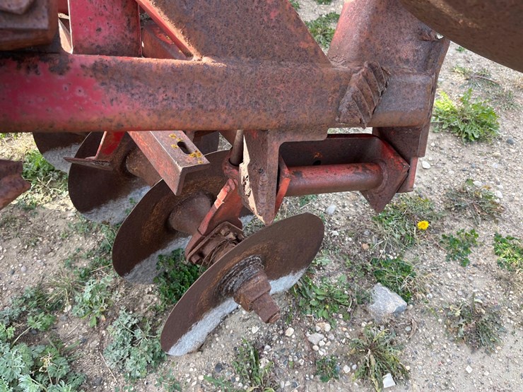 international-490-image-16