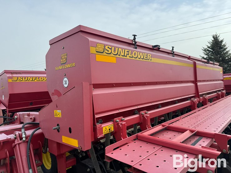 sunflower-9530-40-image-9