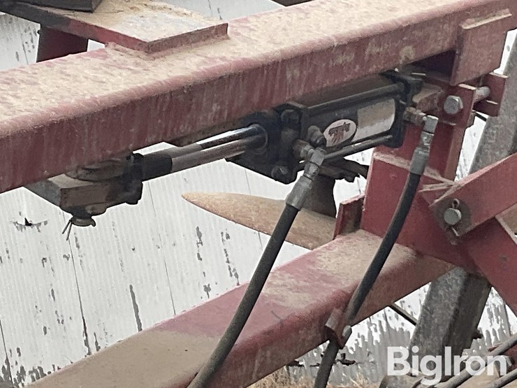 international-496-image-19