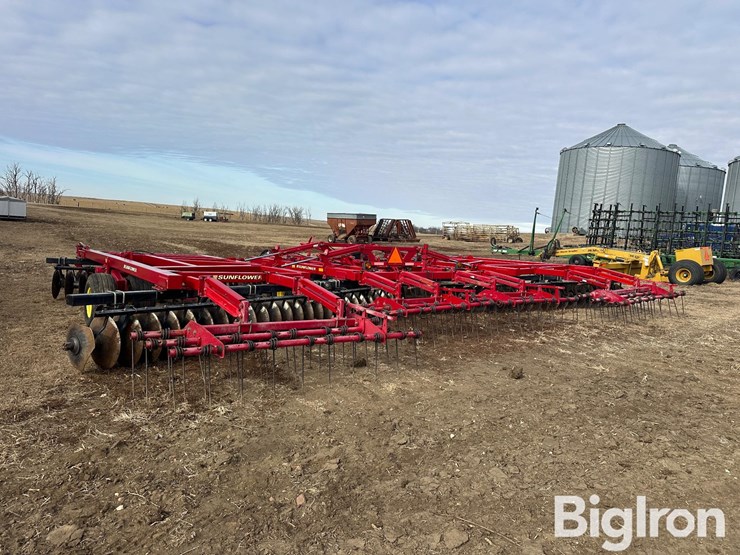 sunflower-1435-image-6