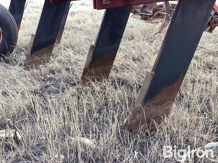 sunflower-4212-19-image-19