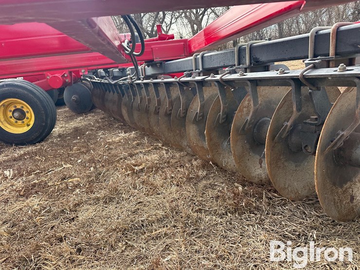 sunflower-1435-image-14