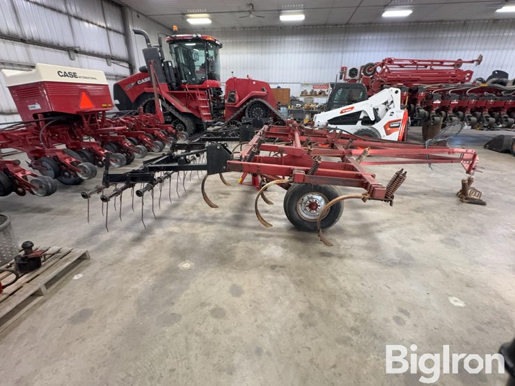 international-55-image-4