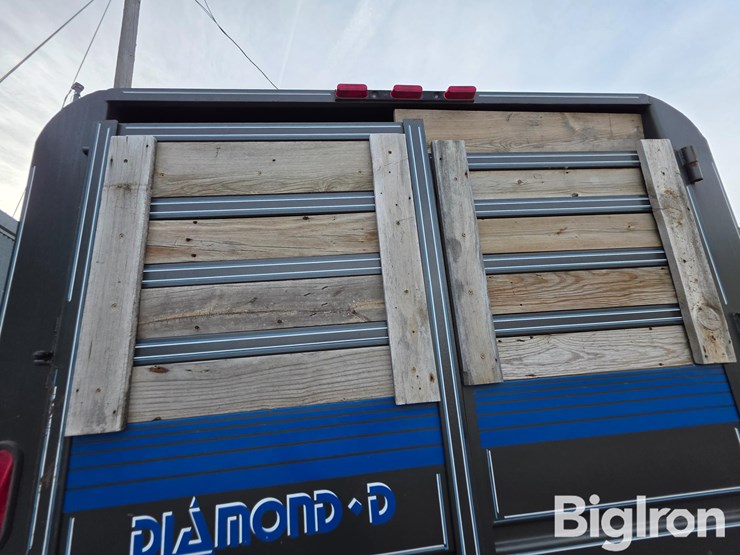 1990-diamond-d-image-13