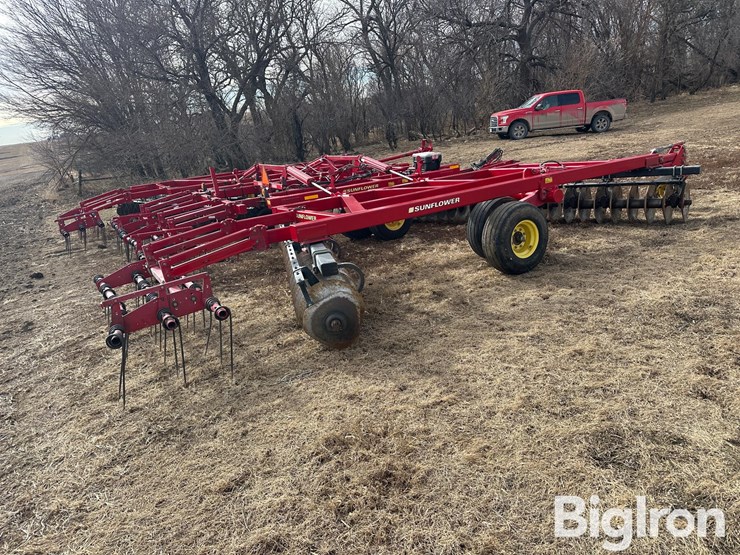 sunflower-1435-image-7