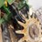 john-deere-1770-image-15