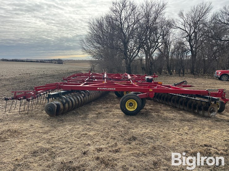 sunflower-1435-image-8