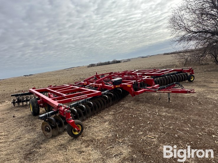 sunflower-1435-image-3