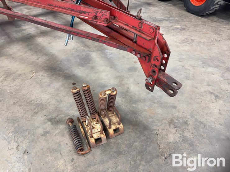 international-55-image-10