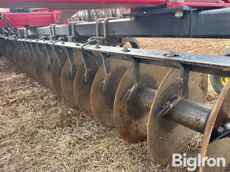 sunflower-1435-image-15