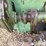 john-deere-220-image-11