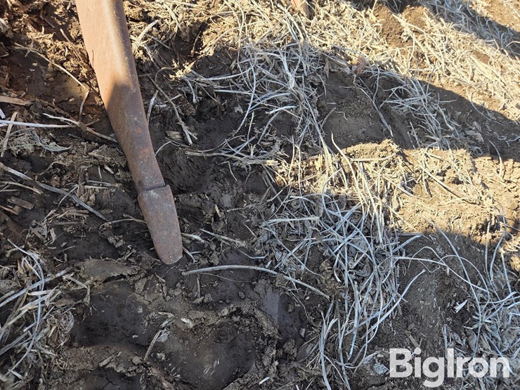 lindsay-3-pt-ripper-image-14