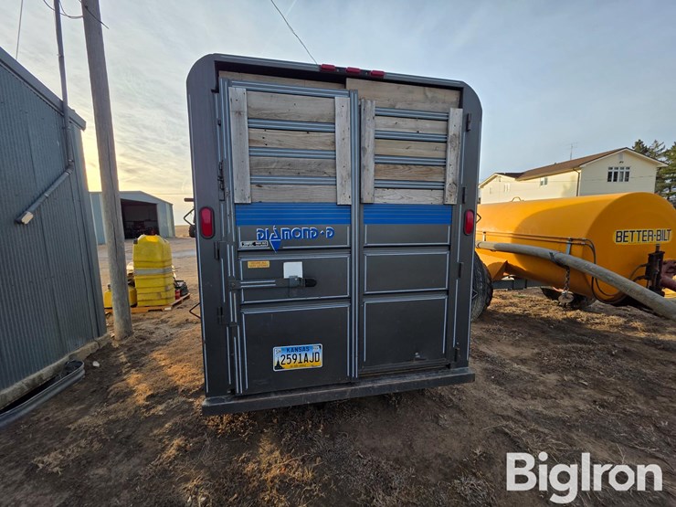 1990-diamond-d-image-6