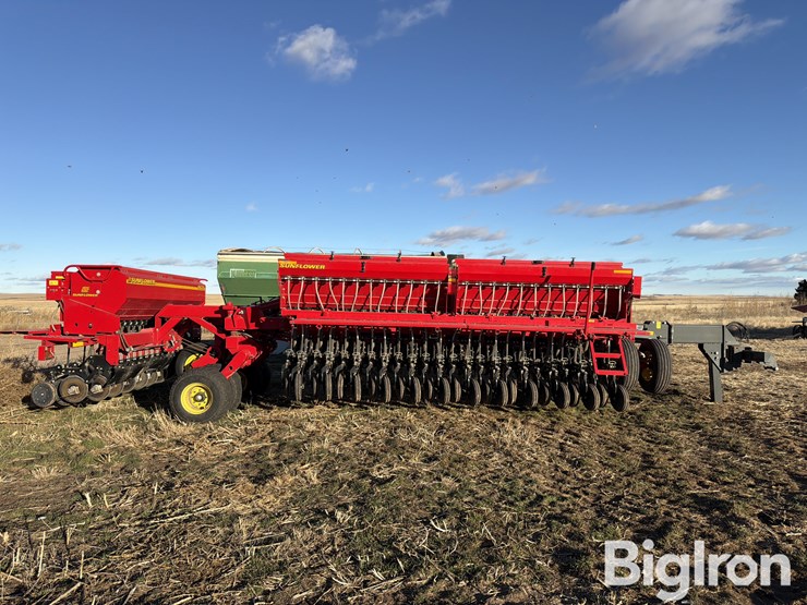 sunflower-9435-image-7