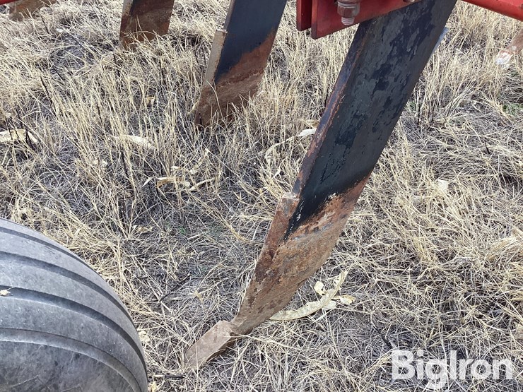 sunflower-4212-19-image-20