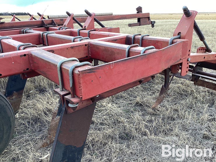 sunflower-4212-19-image-16