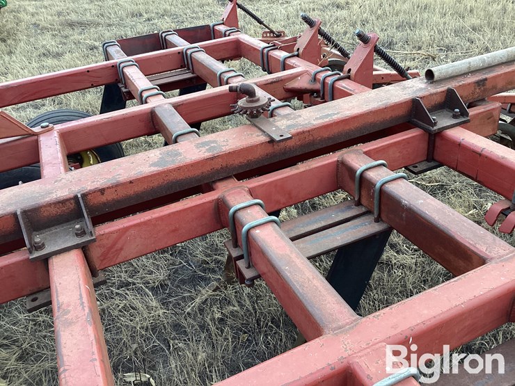 sunflower-4212-19-image-18