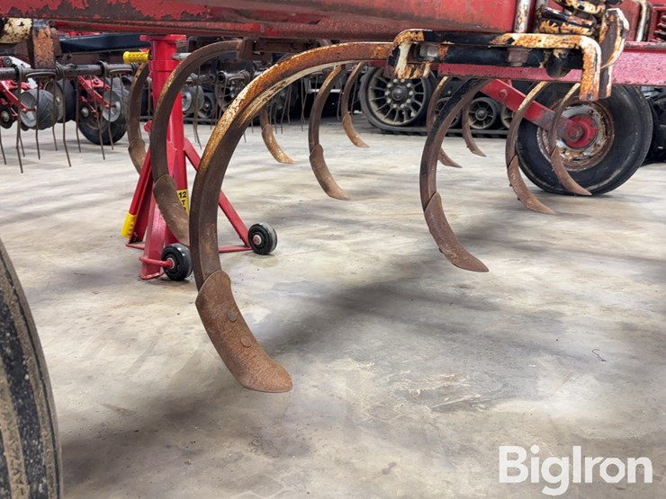 international-55-image-17