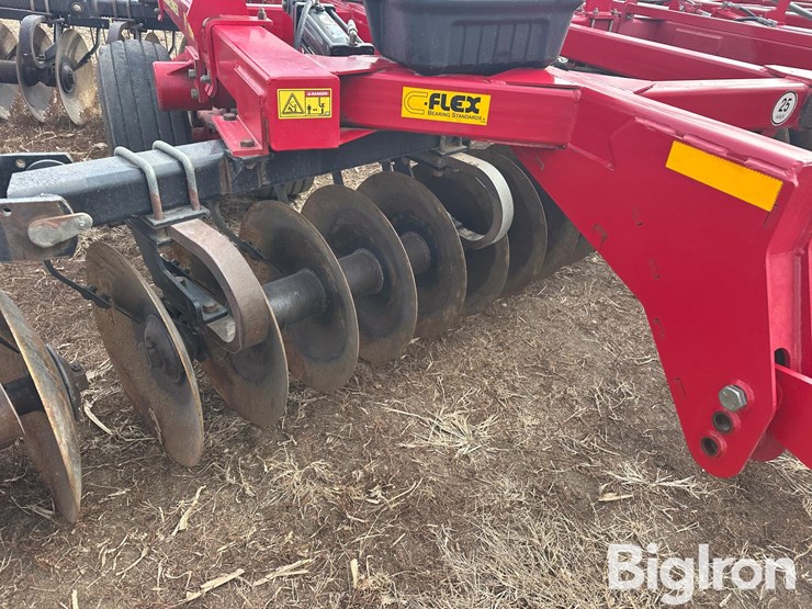 sunflower-1435-image-19