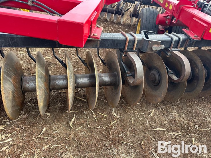 sunflower-1435-image-18