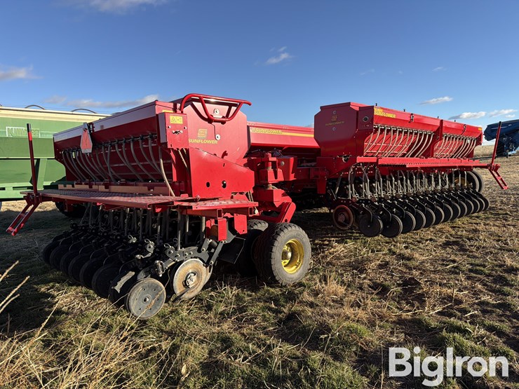 sunflower-9435-image-6