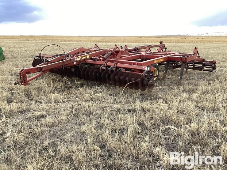 sunflower-4212-19-image-1