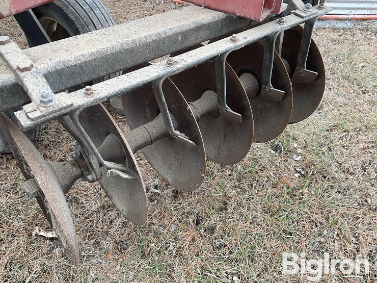 international-496-image-11