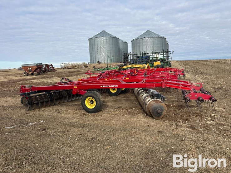 sunflower-1435-image-4