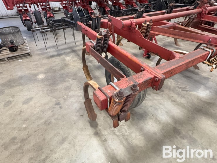 international-55-image-15