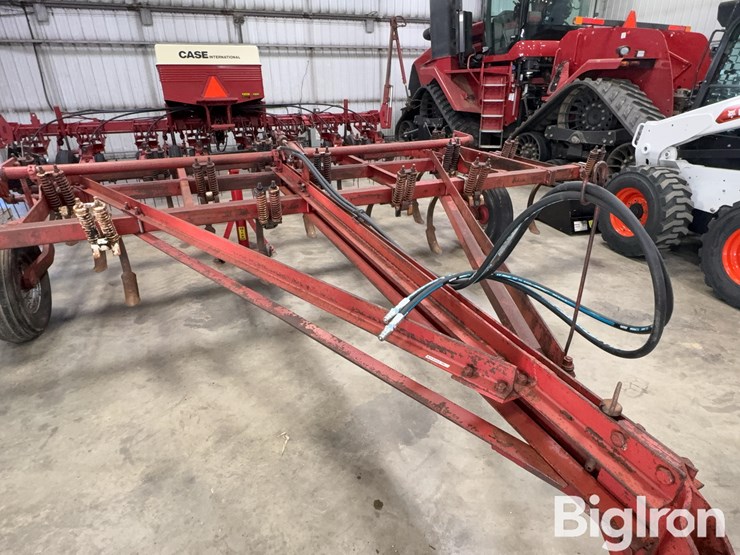 international-55-image-9