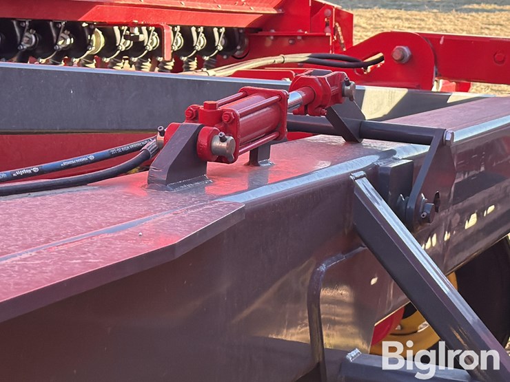 sunflower-9435-image-16