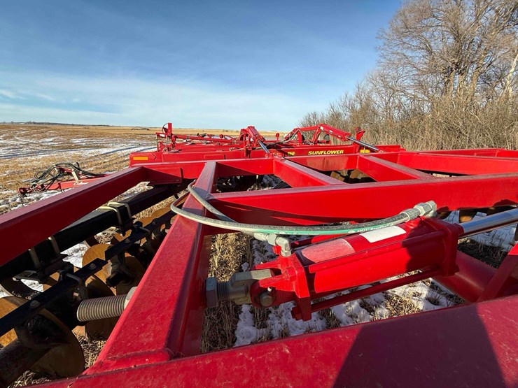 sunflower-disc-image-21