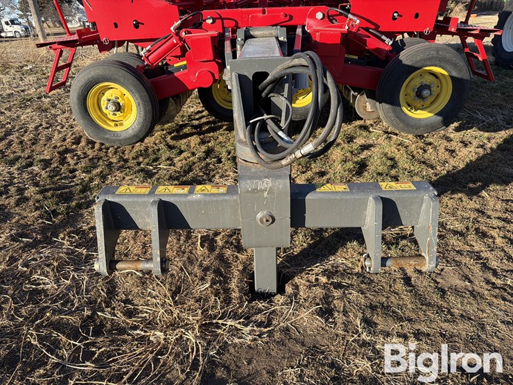 sunflower-9435-image-8