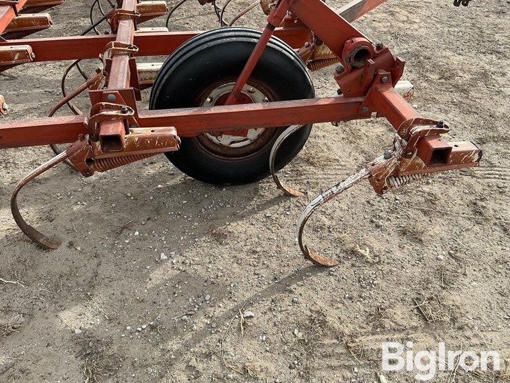 international-45-image-17