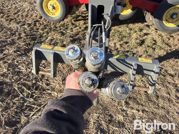 sunflower-9435-image-9