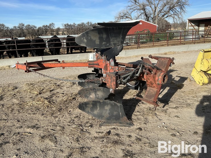 international-145-image-3