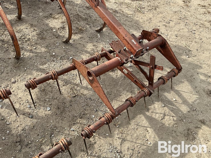 international-45-image-13