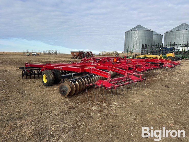 sunflower-1435-image-5