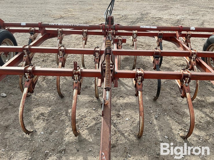 international-45-image-12