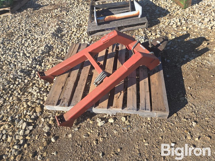 sunflower-1434-image-4