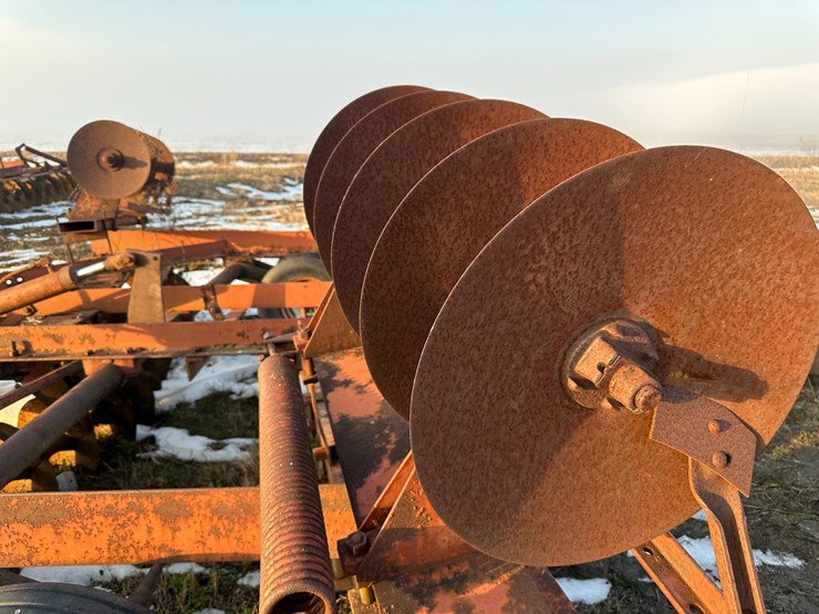 international-20-image-20