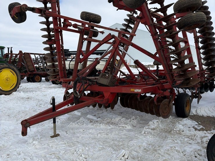 sunflower-1232-image-2