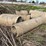 #388-•-lot-of-culverts-image-3