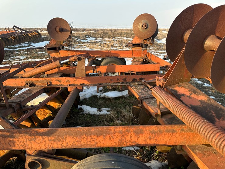 international-20-image-21