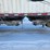 2010-doepker-tri/a-bulk-trailer-image-17