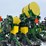 2015-john-deere-1775nt-image-20